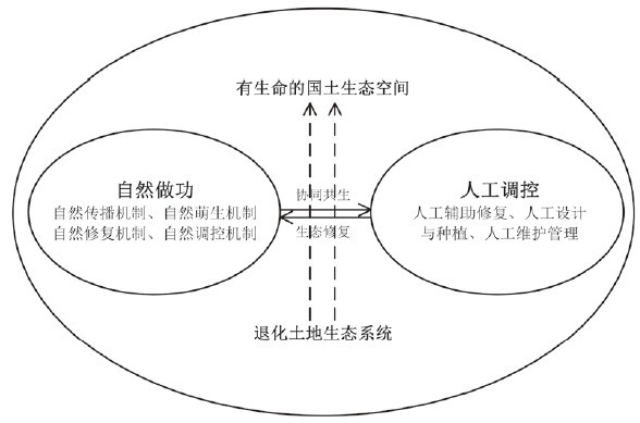 国土空间生态修复的技术范式 迈向系统化生态恢复的路径