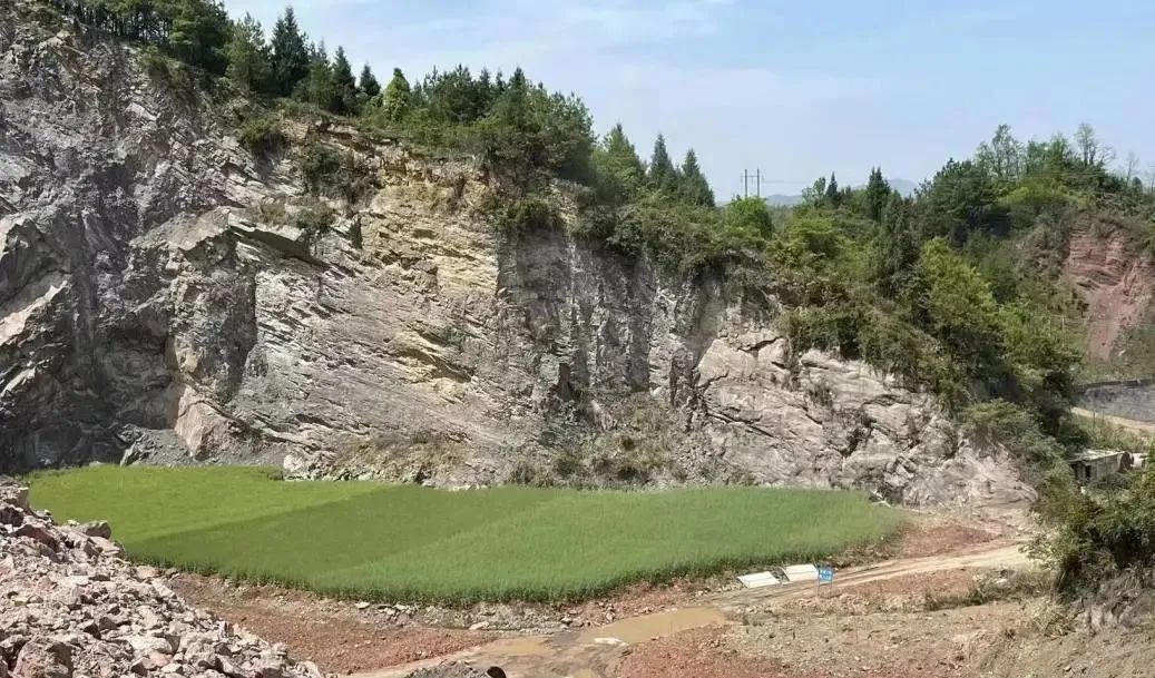 桑植县人民检察院 “一矿一策”，800余亩矿山重披绿衣！生态恢复成效显著