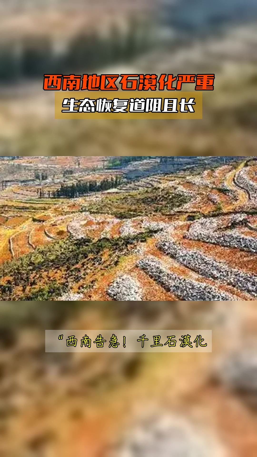 西南地区石漠化严重,生态恢复道阻且长