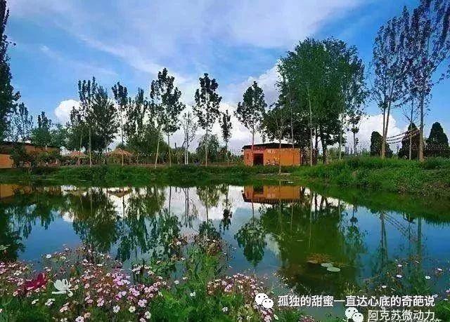 重磅!让绿色的交响曲响彻天际--阿克苏实施荒漠绿化工程纪实